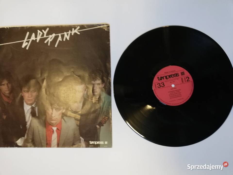 KOLEKCJA PŁYT WINYLOWYCH 25 sztukę 250 komplet Pozostałe dolnośląskie Wrocław