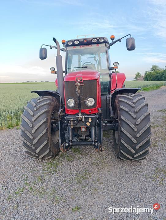 Massey Ferguson Dyna 6 Hrubieszów