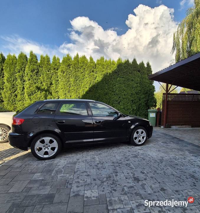 Sprzedam Audi A3 8p 16 MPI z LPG mazowieckie Mała Wieś