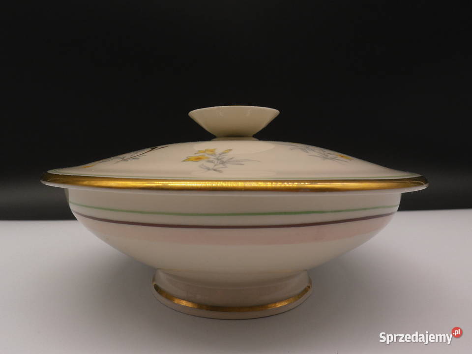 Stara Porcelanowa Bombonierka REICHENBACH Porcelana i szkło Raszków