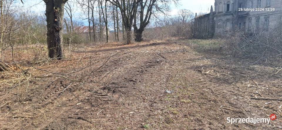 Wycinka drzew Czyszczenie działek Mulczowanie Katowice prace ogrodowe