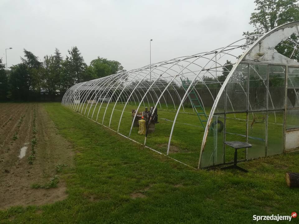 Tunel foliowy 30x6m szklarniafoliak