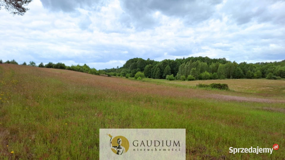DUŻA DZIAŁKA ROLNA Z LASEM MĘCIKAŁ gm Brusy Męcikał sprzedam