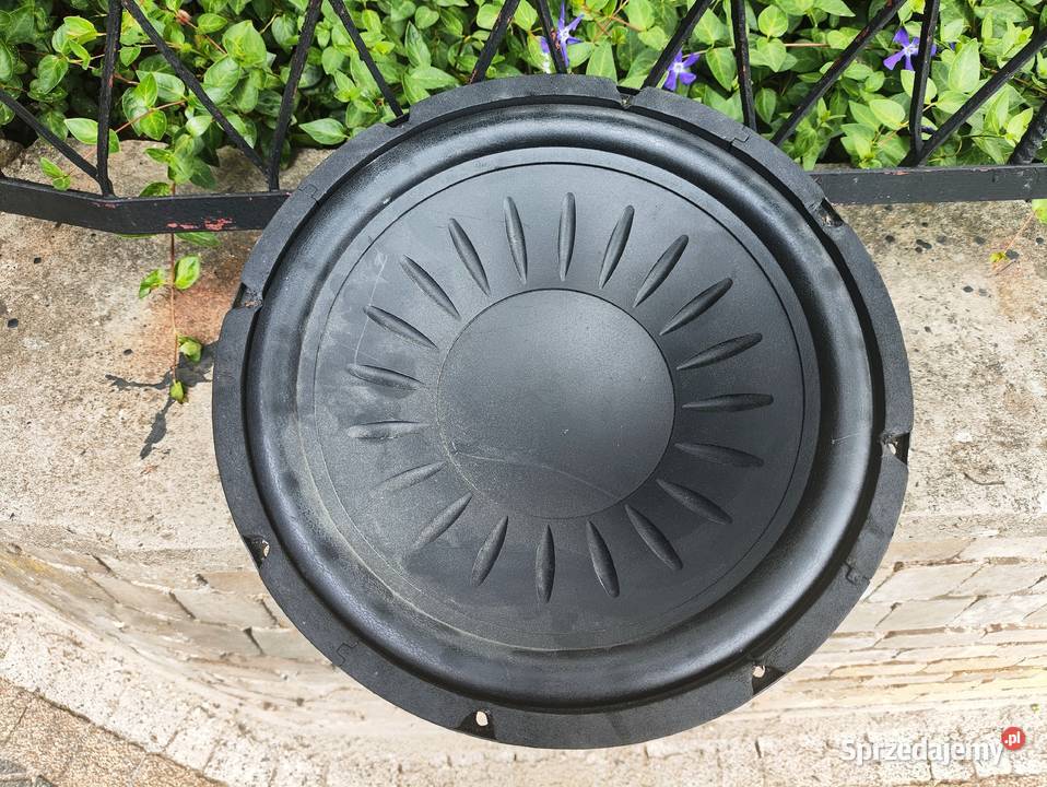 Głośnik niskotonowy Dibeisi DBSB1202 12 30 300 mm  śląskie Niegowonice sprzedam