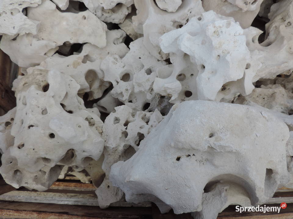 Wapień Filipiński Skała Bryła Kamień do akwarium Oświęcim