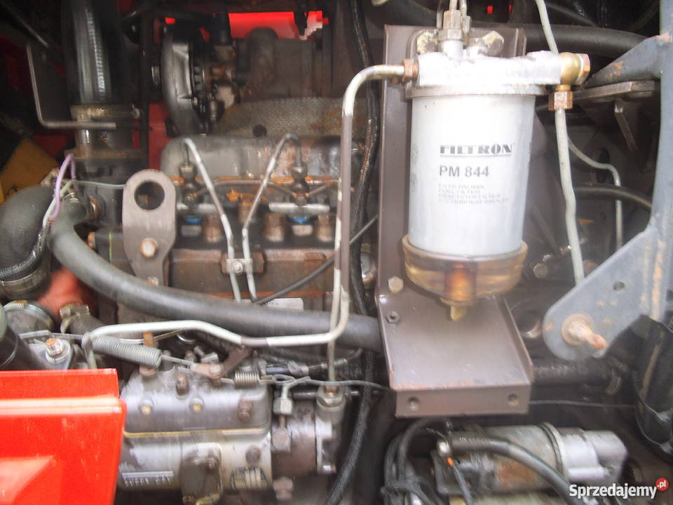 sprzedam fergusona 3070 Bukowiec