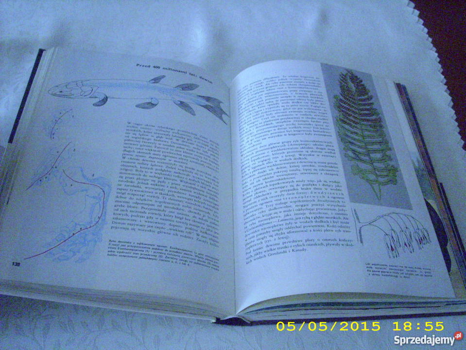 Ziemia rośliny zwierzęta Larousse Rok wydania 1985 Goleniów