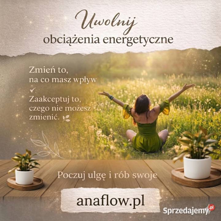 Anaflow Holistyczne Wsparcie Energetyczne w