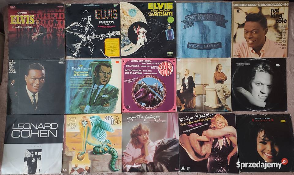 Płyty winylowe bez reedycji 89 sztuk mazowieckie