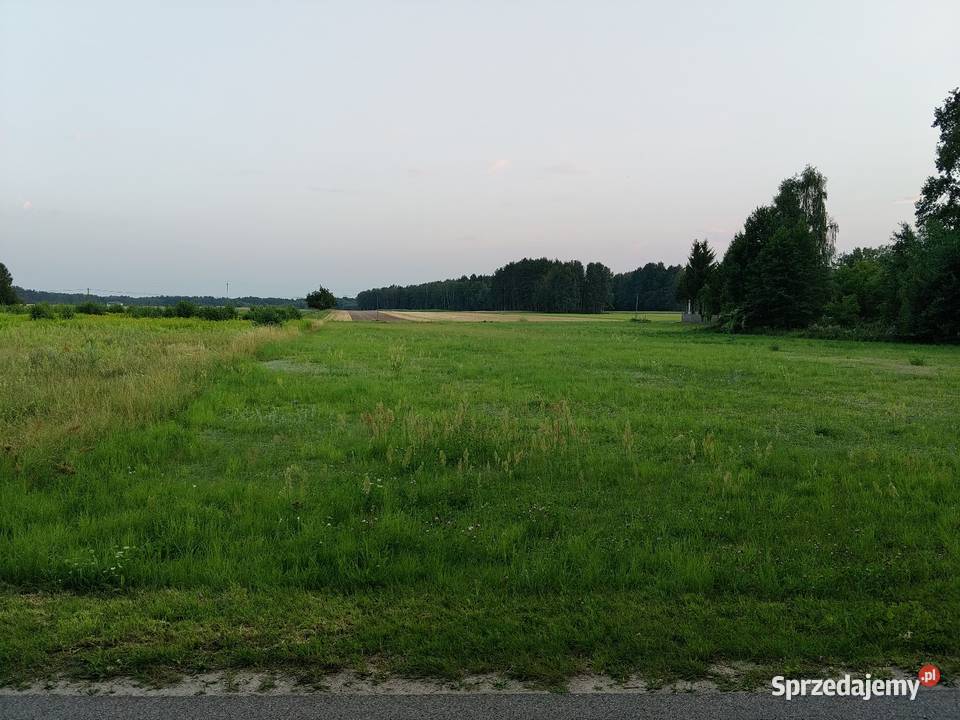 Działka z WZ na dwa budynki z garażem Sprzedaż mazowieckie Suchowizna