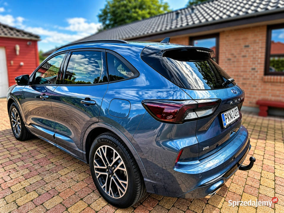 Ford Kuga III 2019 nieuszkodzony