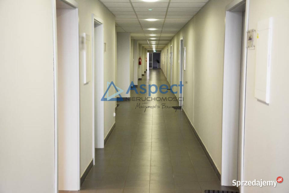 Lokal Szczecin 725m2