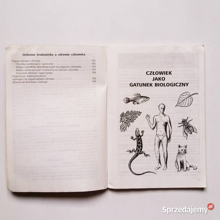 Krystyna Stypińska Biologia klasa 7 szkoła biologia Łódź