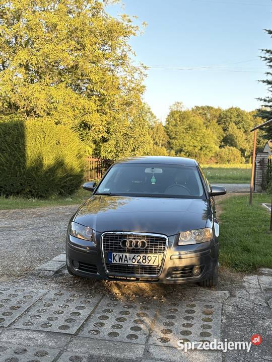 Audi a3 8P Roczyny