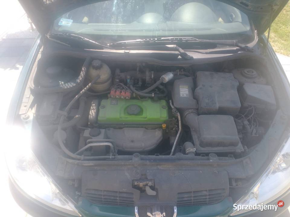 Peugeot 206 16 gaz klima lakier metallic kujawsko-pomorskie Witkowo