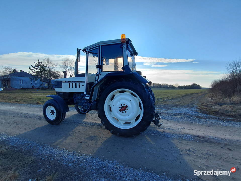 Traktor Lamborghini 674 lubelskie Buśno