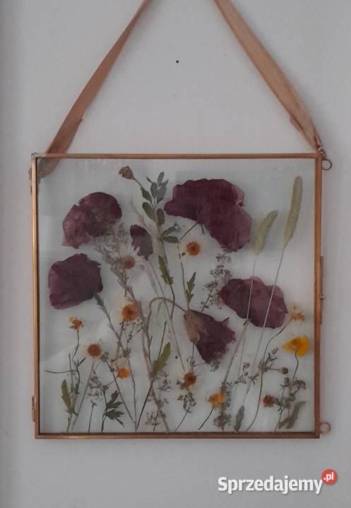 Obraz Kwiatowy Kompozycja Wspomnienie lata Maki Rotmanka sprzedam