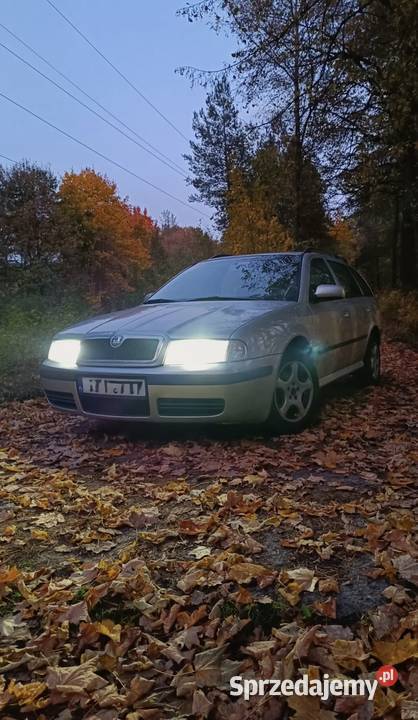 Skoda Octavia Tour Combi 2006 19 TDI 101 Długie