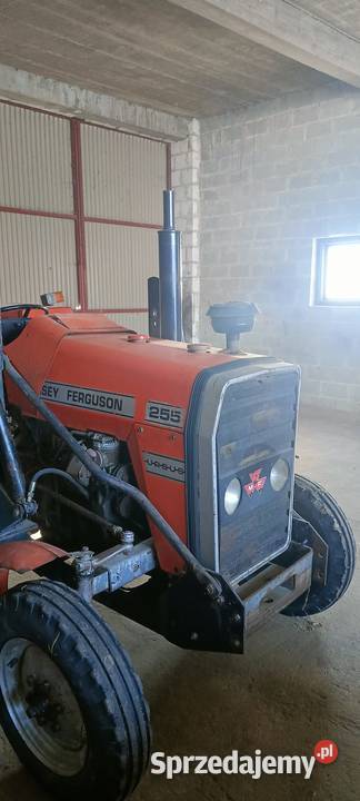 Ciągnik URSUS C330 MF Ferguson Piotrów-Podłazy