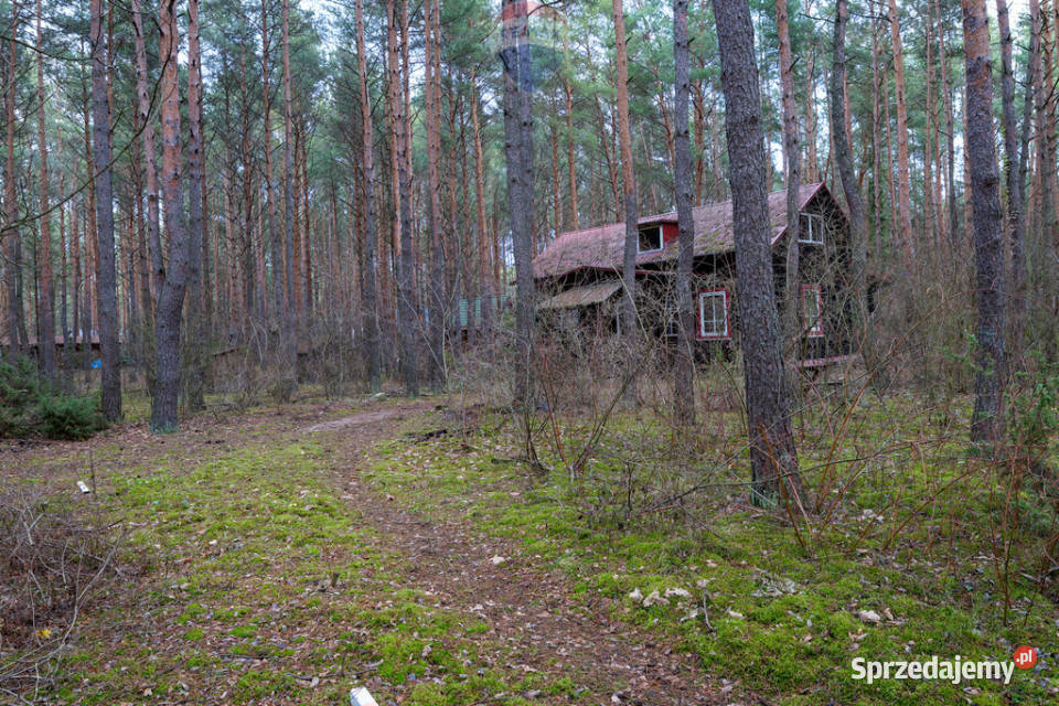 Sprzedażdziałka z MPZP1900 m2Łosie Radzymin Nieruchomości mazowieckie