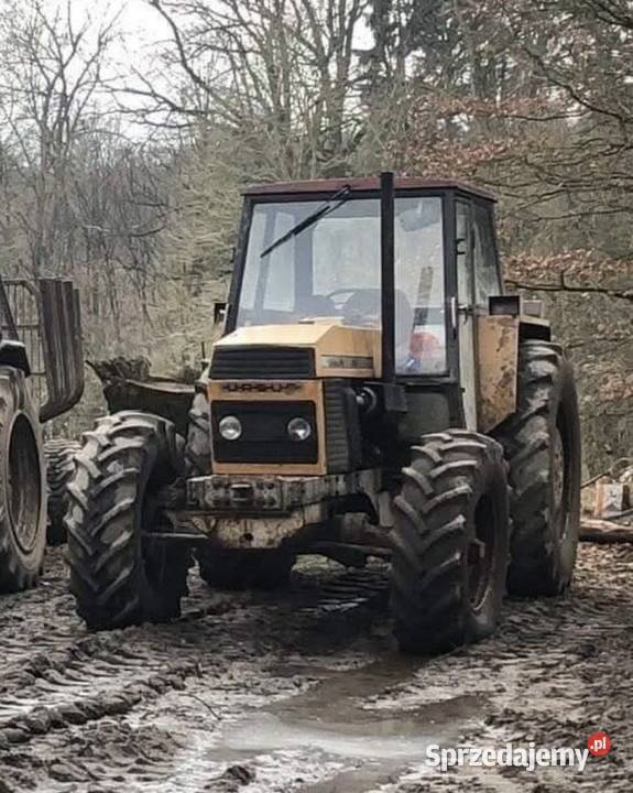 Ciągnik rolniczy Ursus 1614 z 1986 roku Brodnica