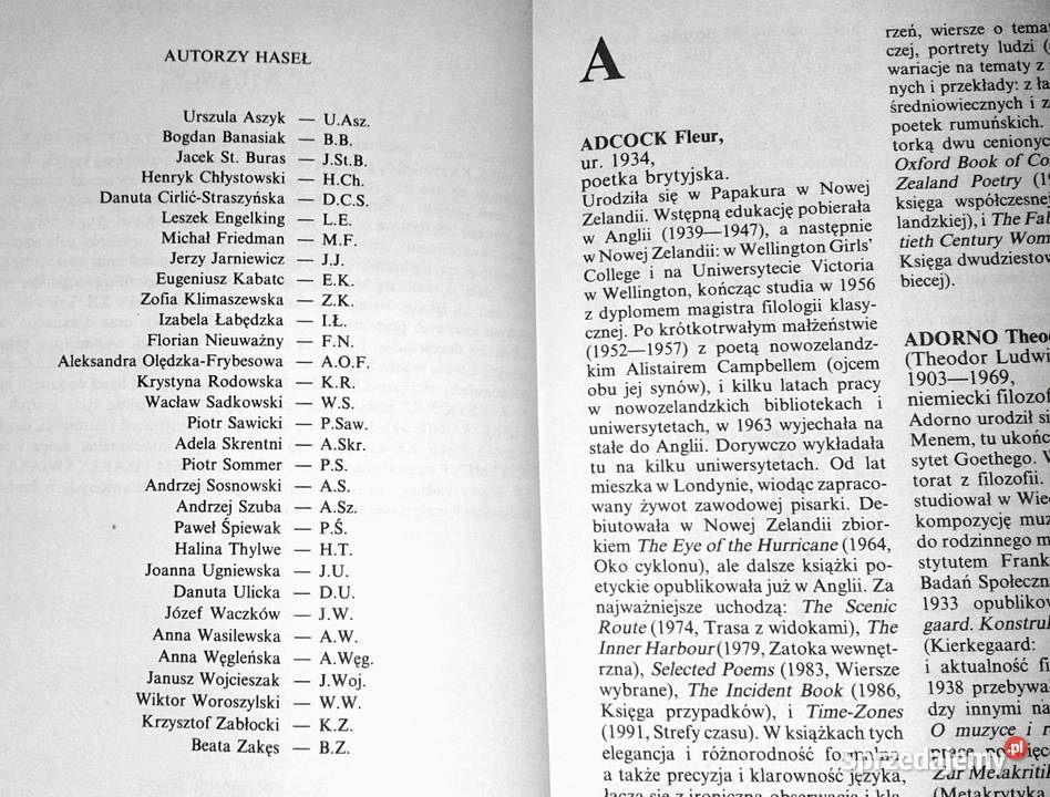 Leksykon pisarzy świata XX wieku praca zbiorowa Chełm sprzedam