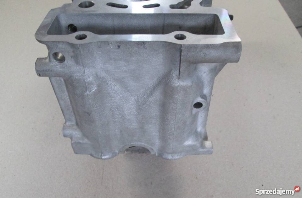 GŁOWICA SMART 06 600 6V R 160 016 00 01 z podkarpackie Brzostek sprzedam