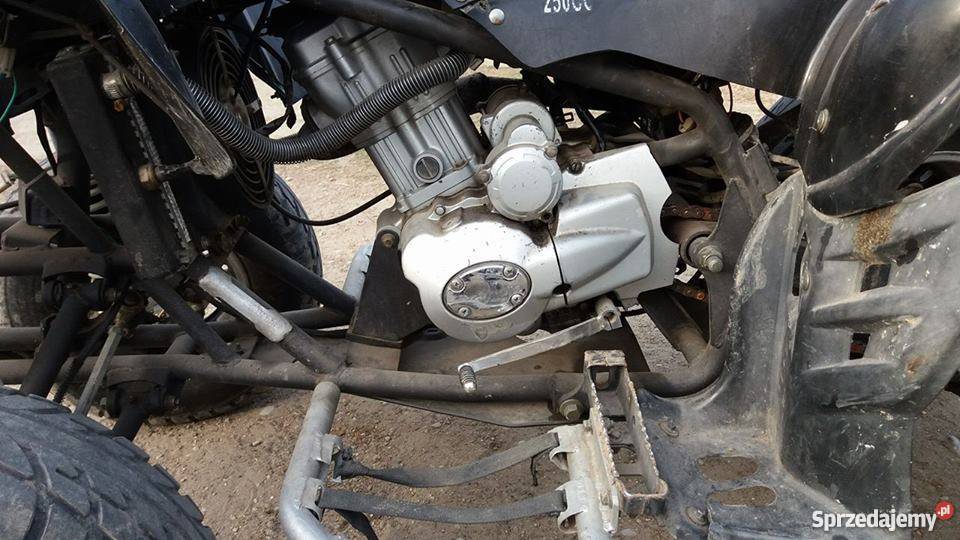 Eagle Motorsports Lyda 203E Lipno