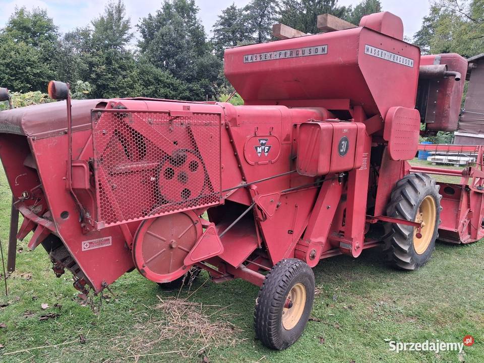 Kombajn zbożowy Massey ferguson 31 Janów Lubelski