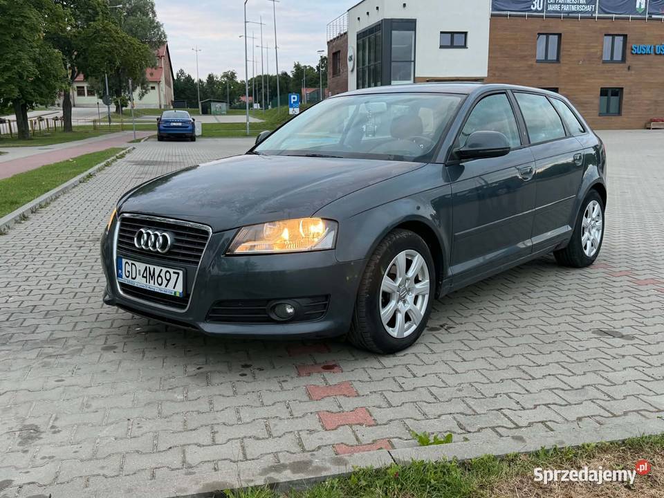 Audi A3 8P Sportback 19 TDI 105 2009r Diesel Malbork