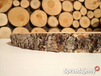 Okazja plastry drewniane brzoza 1824 Szlifowane Rybnik