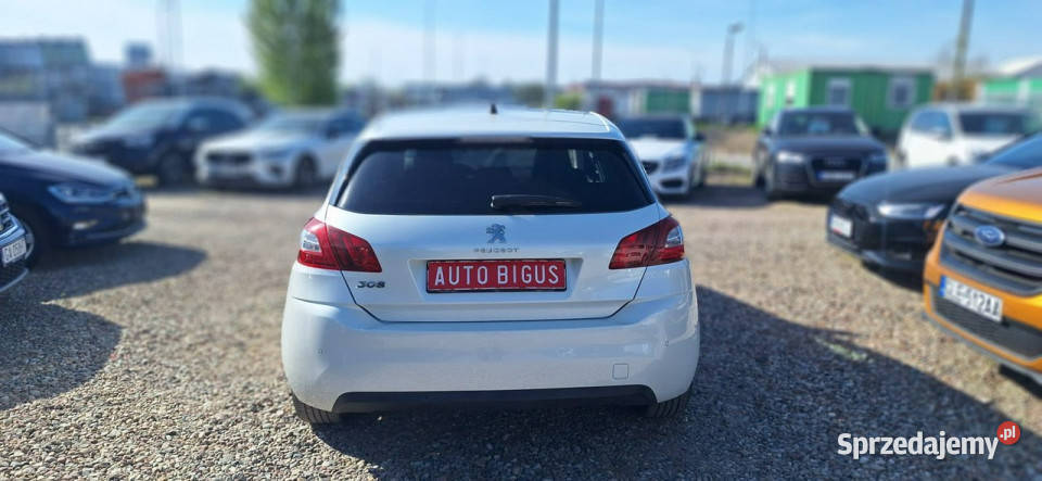 Peugeot 308 Ledy xsenon navi panorama biała benzyna Lębork sprzedam