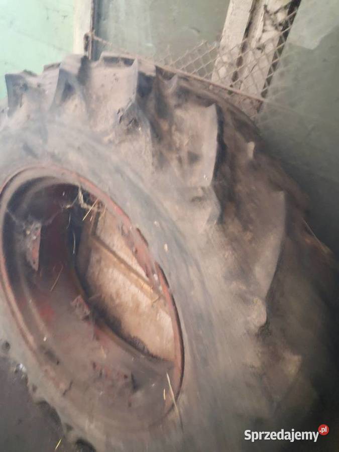 Sprzedam kola 11210 R24 Żernica