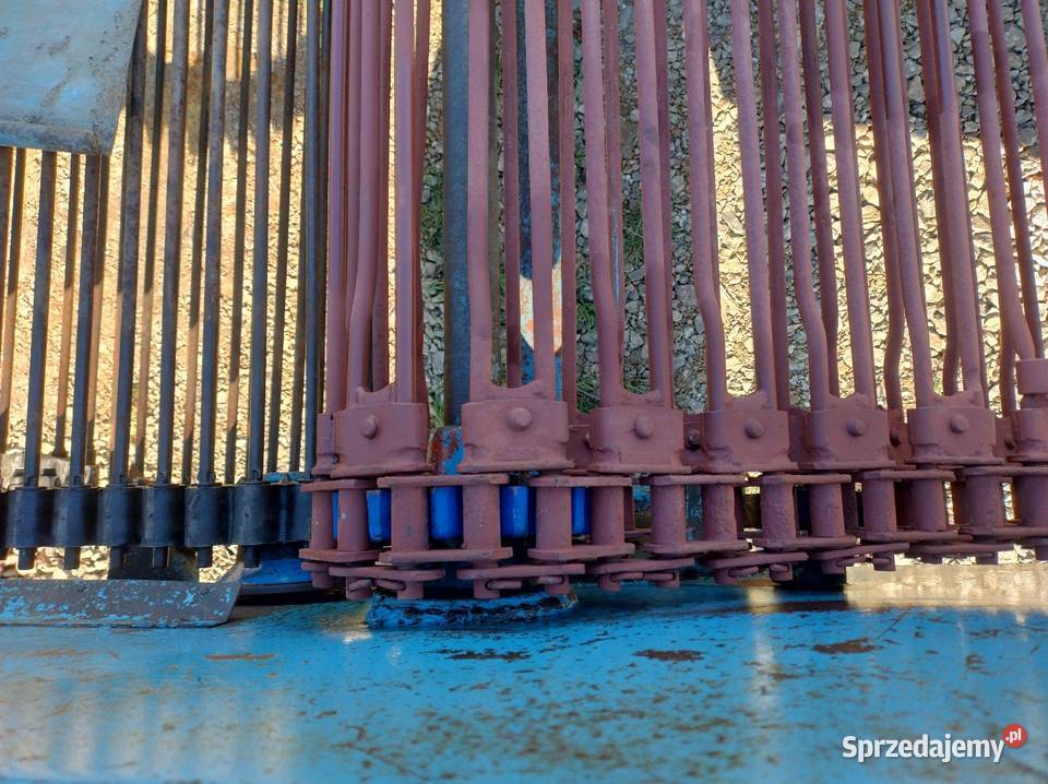 Kopaczka elewatorowa do ziemniaków Wodzisław sprzedam