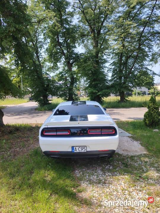 Dodge Challenger GT AWD Challenger Książenice