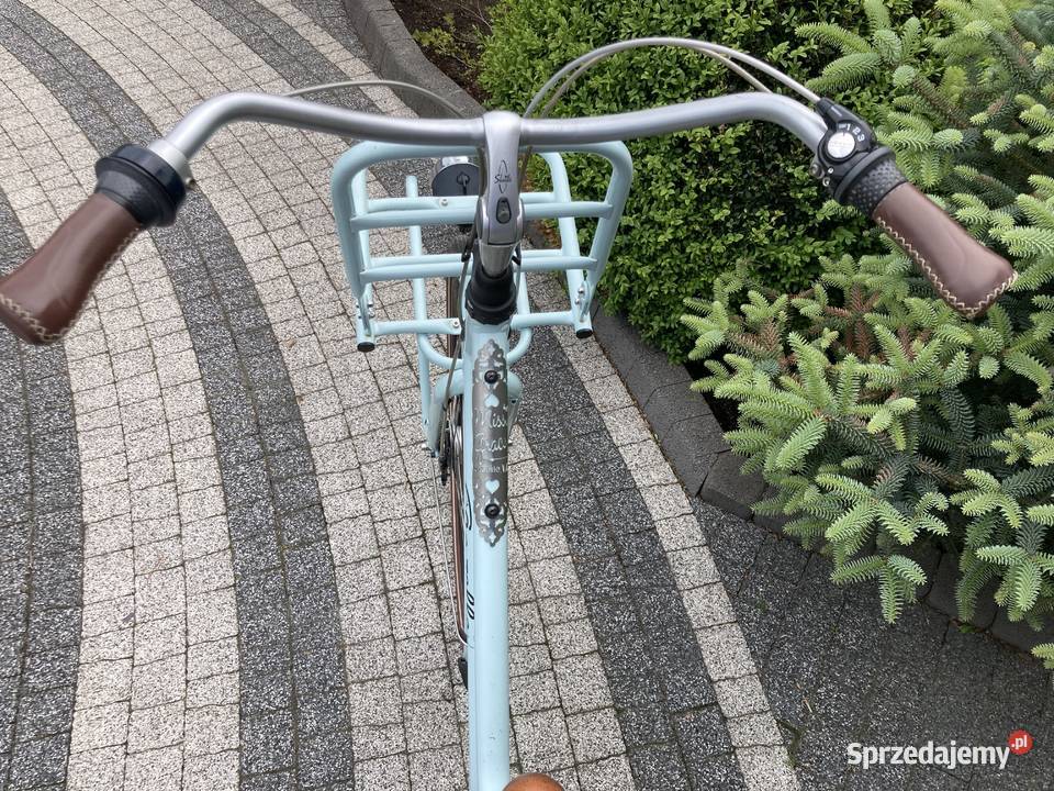 Gazelle Miss Grace Kraśnik