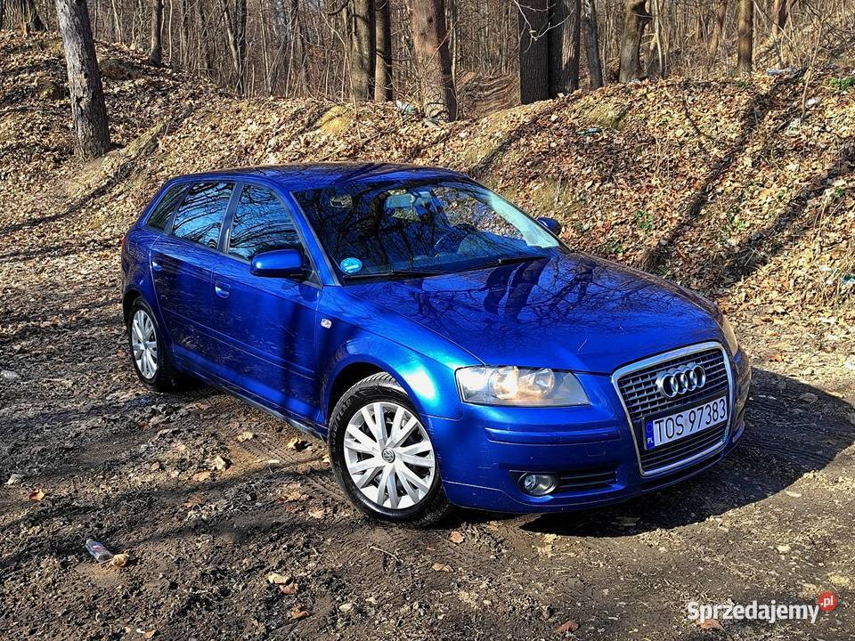 Audi A3 8P 16 Benzyna 215 Podgrzewane Fotele 4el 1598cm3 świętokrzyskie Ostrowiec Świętokrzyski sprzedam