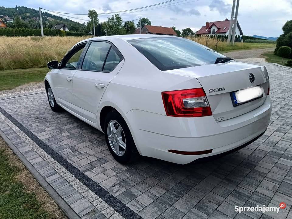 Skoda Octavia 2019 gniazdo USB Octavia Wysokie