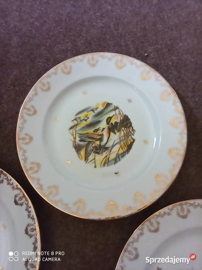 Serwis z ptakami Limoges Francja Gdańsk
