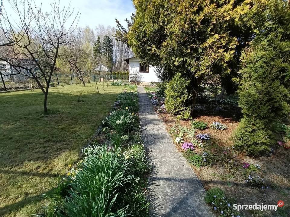 Działka ROD Kraków Bielany małopolskie