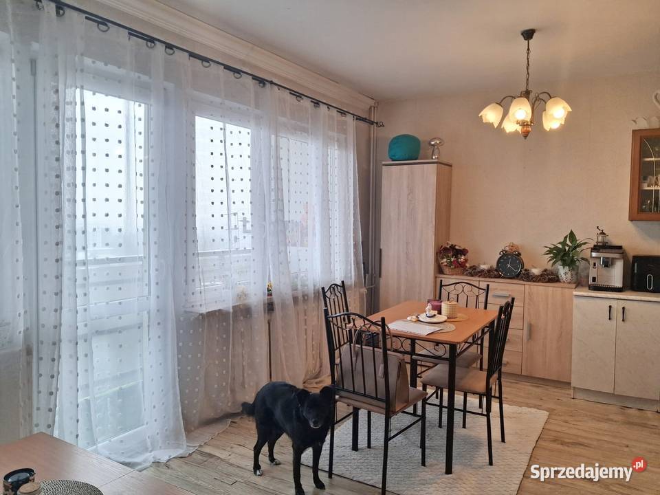 Super Świąteczna Promocja do końca Roku 2925 sieć Żory