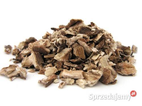 Korzeń łopian suszony ładny Łańcut