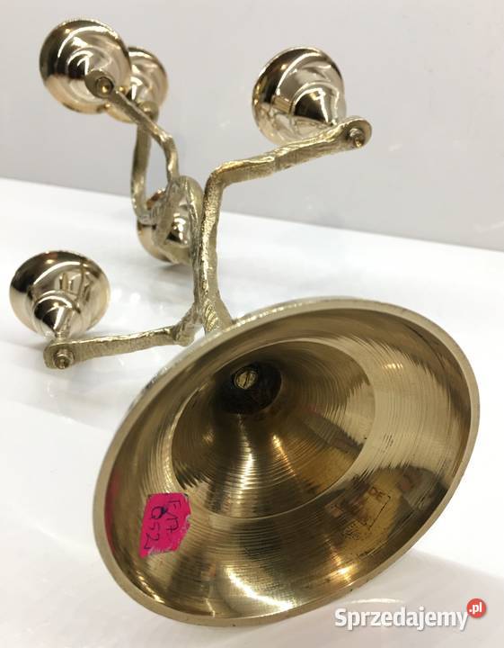 Indyjski świecznik drzewo Kraków