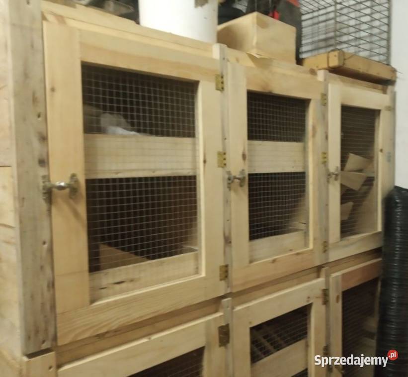 Króliki królik samiec samica klatka transporter