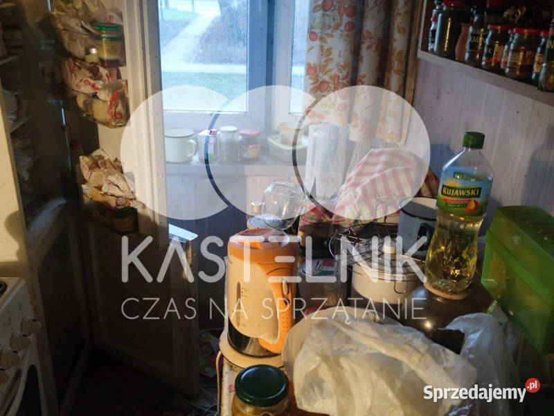 Utylizacja mebli pluskwach Głowno Kastelnik