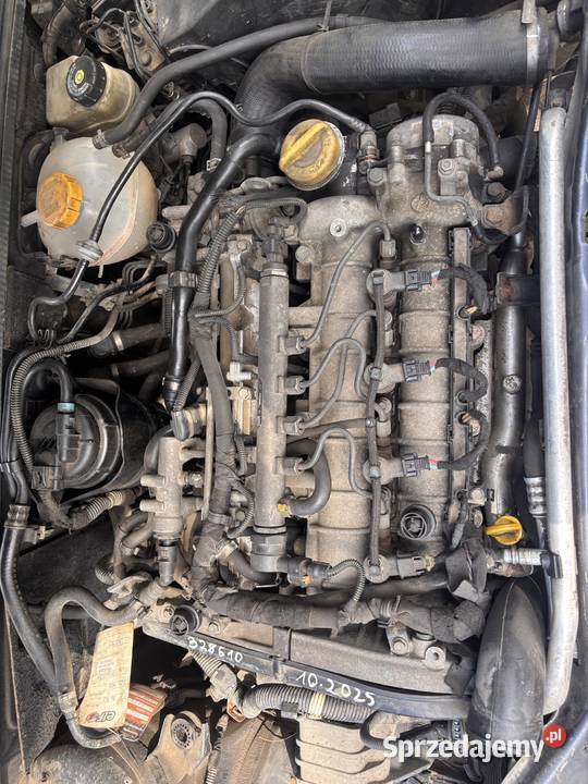 Opel signum na części Białystok