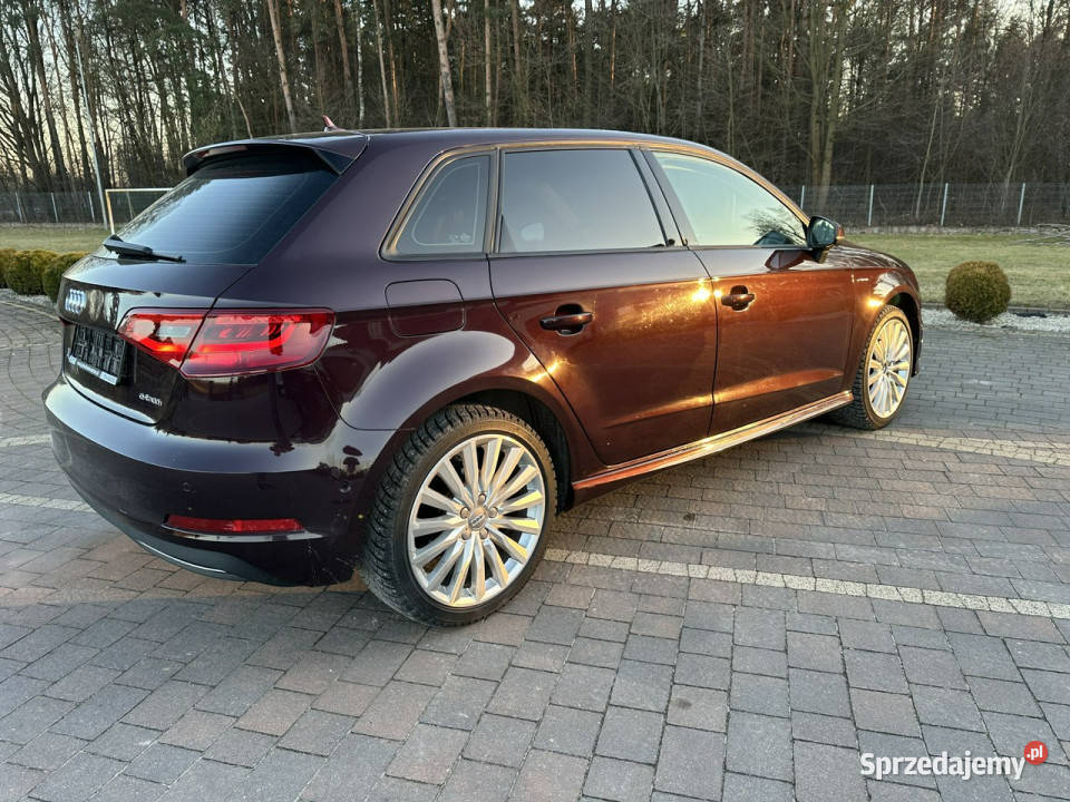 Audi A3 Sportback 8V 2012 isofix Lipówki