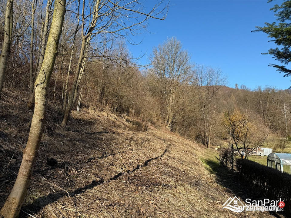 Sprzedam grunt Dębna 5900m2 6zł/m2 Sprzedaż podkarpackie