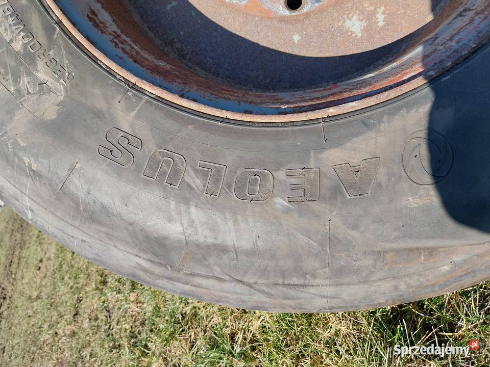 Koło przyczepy HL Brandys Autosan itp 42565R225 Borek sprzedam