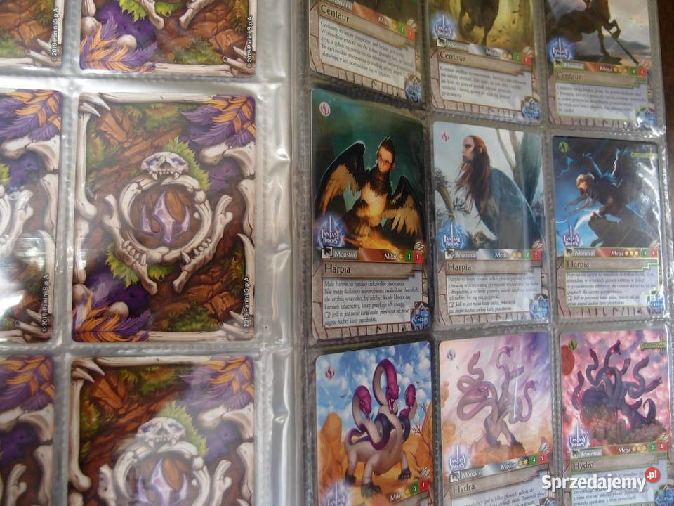 Duża kolekcja Kart Fantasy Riders 336 plansza Łódź